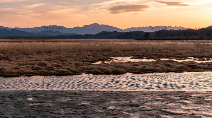 Akita meadow landscape with snowmelt and silver grasses - AI-generated stock image