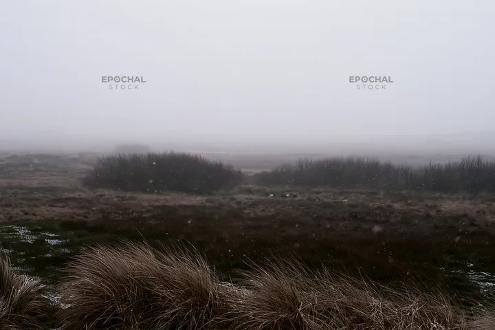 Dune meadow snow under gray sky with low visibility - AI-generated stock image