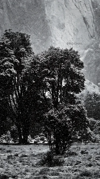Snowfall in Torres del Paine national park meadow - AI-generated stock image