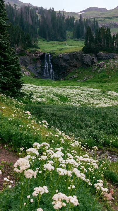 Alpine meadow with waterfall and wildflowers in a green landscape - AI-generated stock image