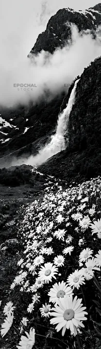 Black and white colorful daisy meadow with a waterfall and mountains in background - AI-generated stock image
