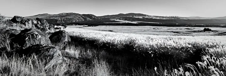 Black and white restored Kumamoto silver grass meadow boulders - AI-generated stock image