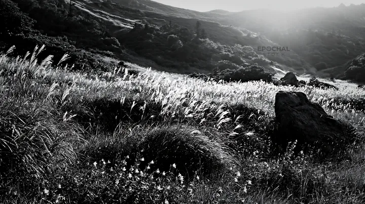Black and white aomori climate resilient meadow with boulder - AI-generated stock image