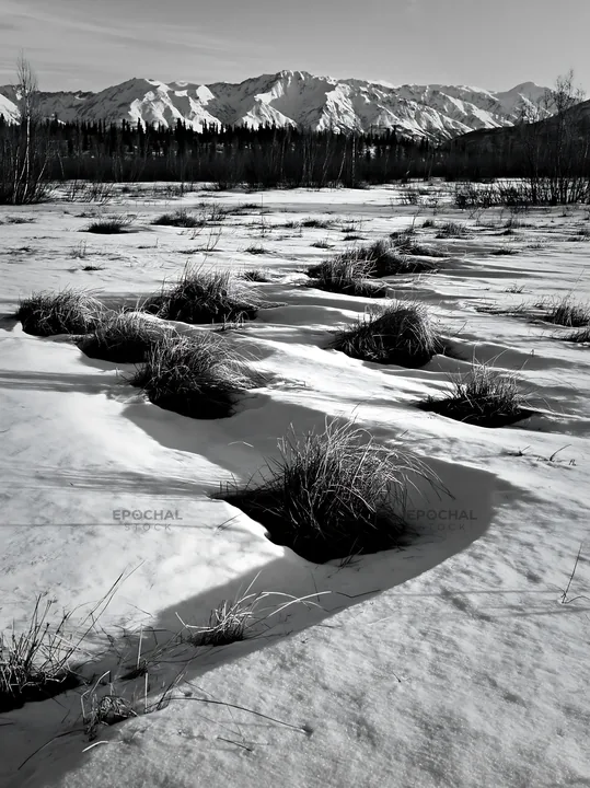 Black and white snowmelt meadow with grass patches and mountain backdrop - AI-generated stock image