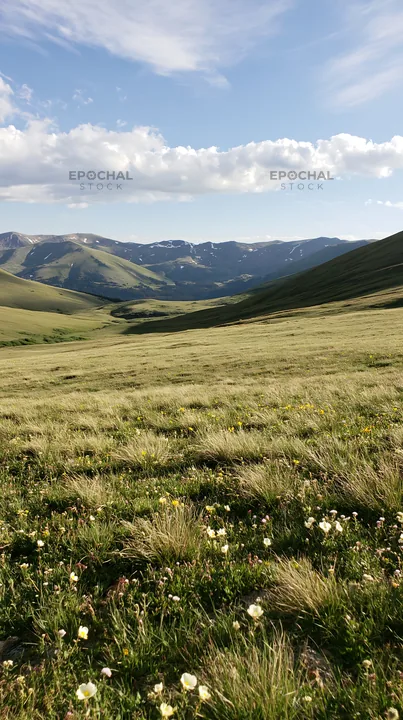 Climate-resilient meadow with mountains in the background - AI-generated stock image