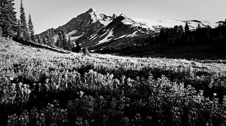 Black and white snowmelt meadow with blooming wildflowers and mountain background - AI-generated stock image