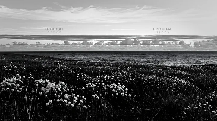 Black and white clifftop meadow with flowers and ocean view at sunset - AI-generated stock image