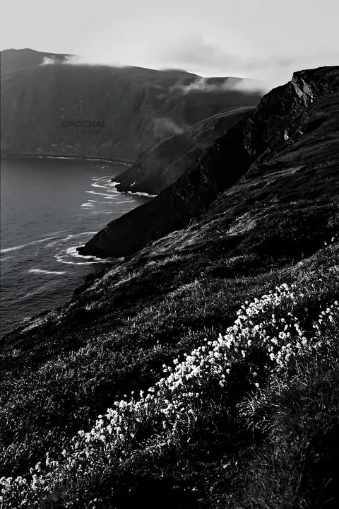 Coastal meadow cliffs with white flowers by the ocean - AI-generated stock image