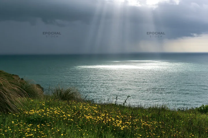 Coastal meadow cliffs under cloudy skies with ocean view - AI-generated stock image