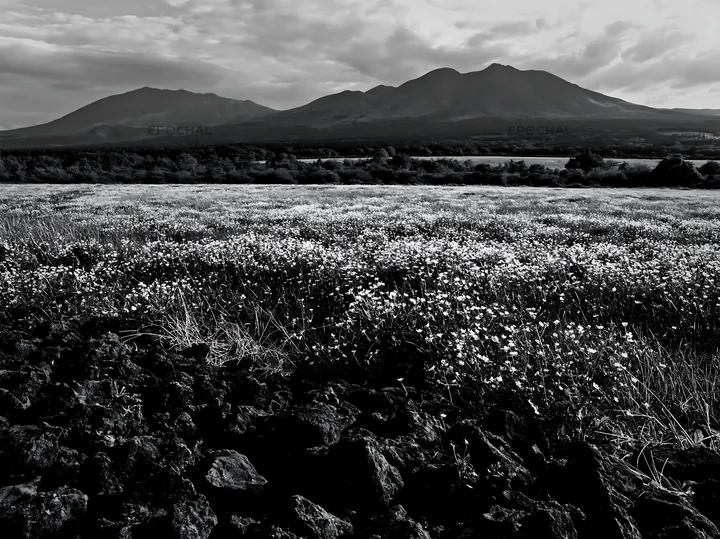 Kumamoto volcanic meadow with dark rock foreground - AI-generated stock image
