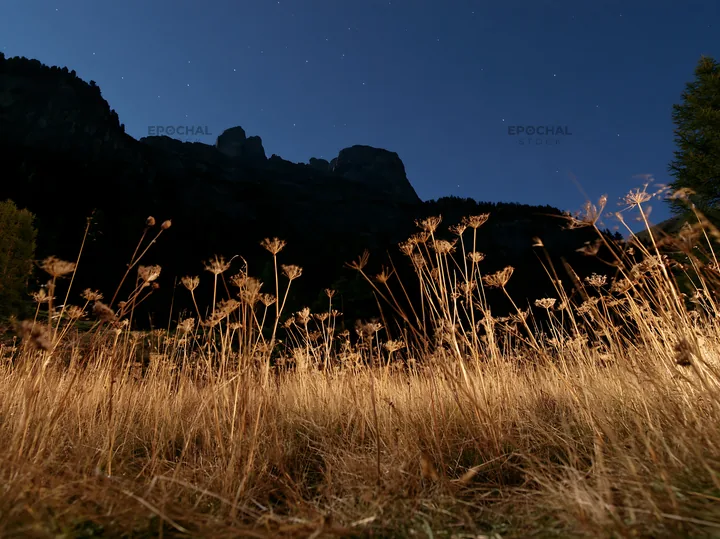 Meadow beneath crags at night with starry sky - AI-generated stock image