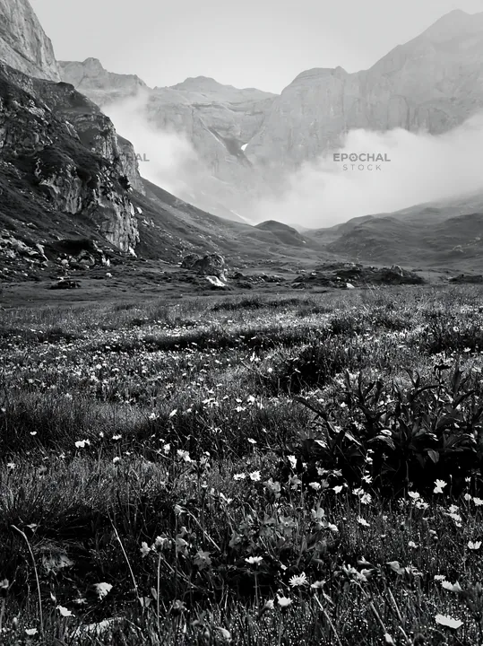 Morning dew on a meadow with mountains in the background - AI-generated stock image