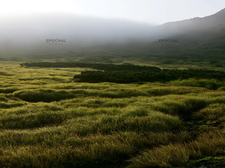 Daisetsuzan alpine meadow light rays shine through fog - AI-generated stock image