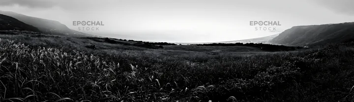 Shizuoka meadow view after heavy rain at the coastline - AI-generated stock image
