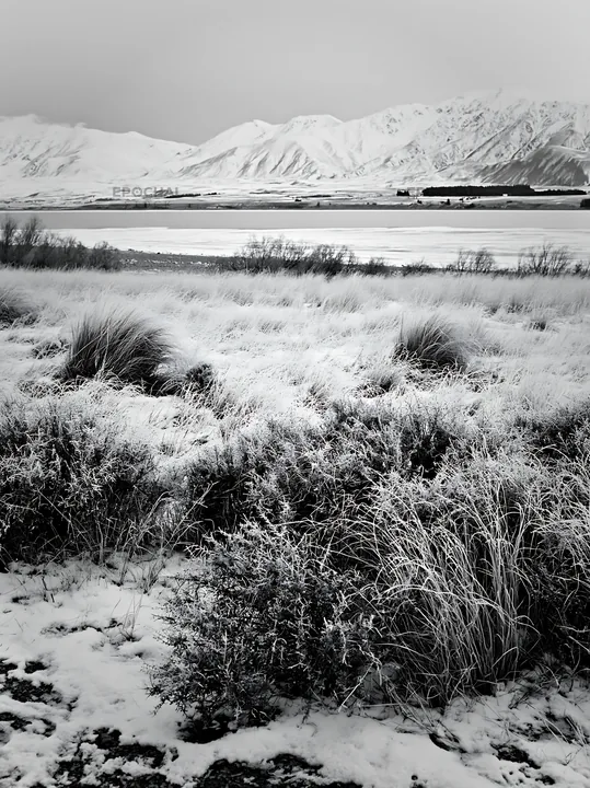 Black and white lake Tekapo meadow snowy alps view in winter - AI-generated stock image