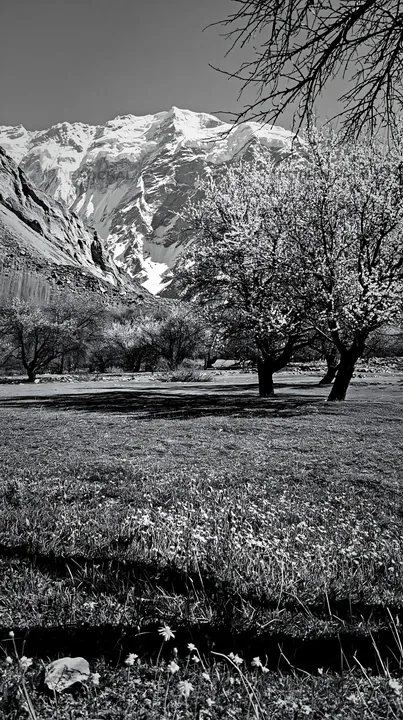 Spring orchard meadow with trees and mountains - AI-generated stock image
