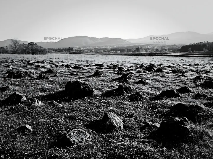 Yamanashi regenerative meadow with basalt stones under gray sky - AI-generated stock image
