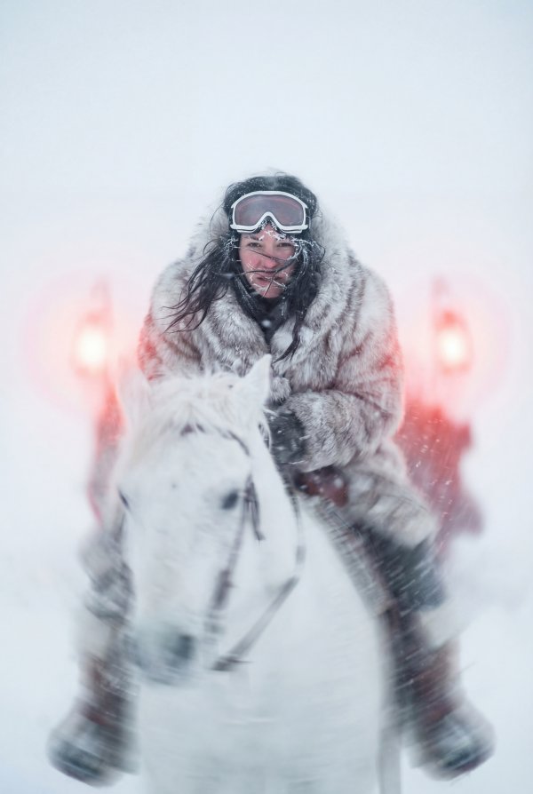 Winter rider on a white horse in a snowy landscape - stock photo