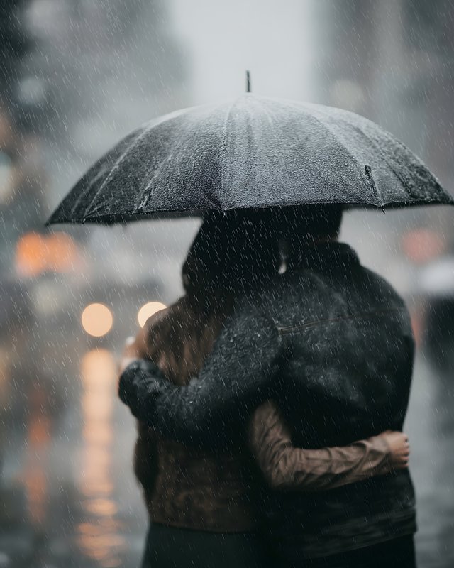 Couple sharing an umbrella in the rain on a city street Free Premium Stock Photo - stock photo