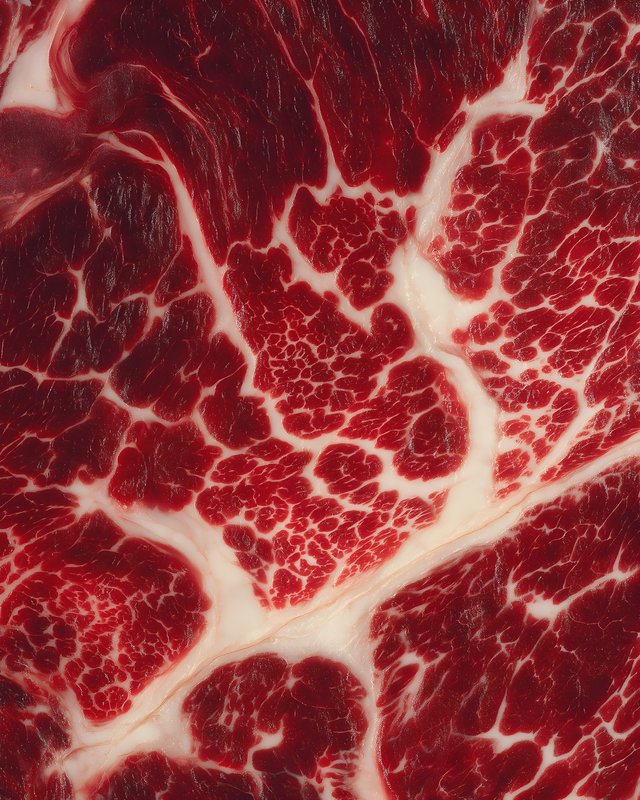 Details of marbled meat showing fat and muscle structure Free Premium Stock Image - stock photo