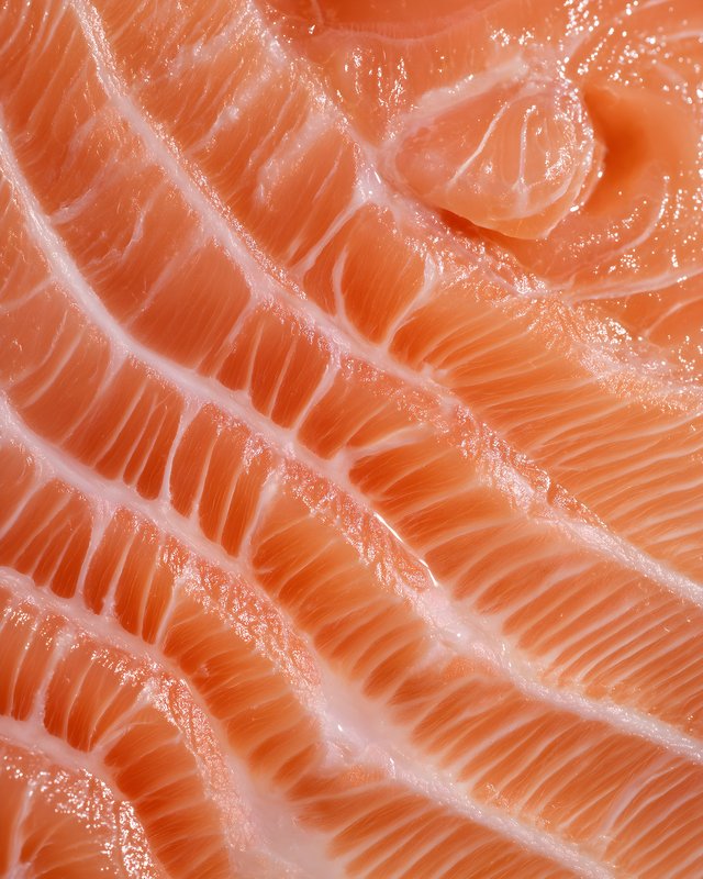 Fresh salmon fillet with clear texture taken in natural light Free Premium Stock Image - stock photo