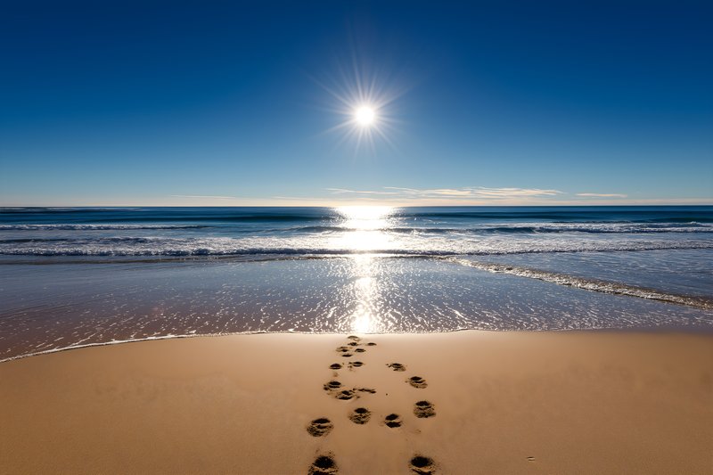 Footprints lead to the ocean under a bright sun Free Premium Stock Image - stock photo