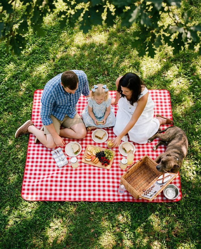 Family enjoys picnic on a sunny day in the park Premium Stock Image - stock photo