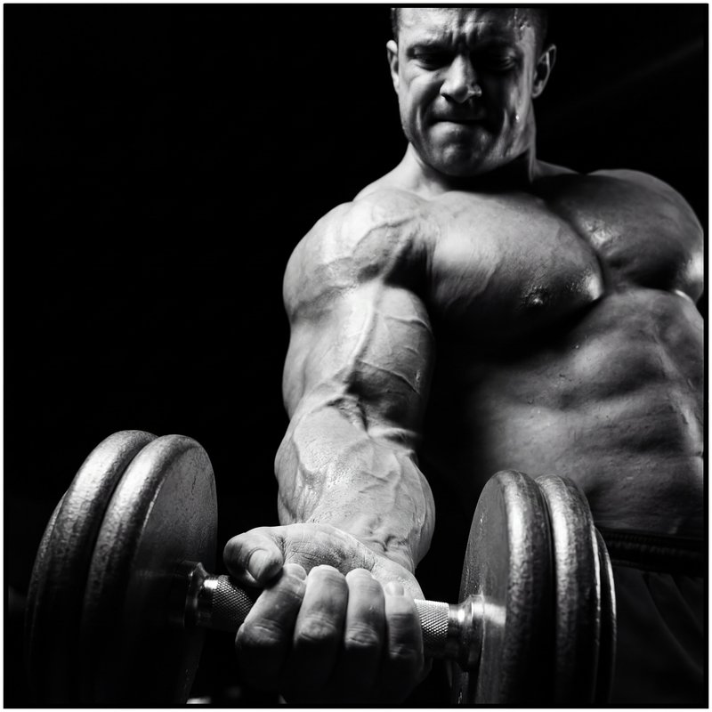 Muscle training in gym with dumbbell at night Premium Stock Photo - stock photo