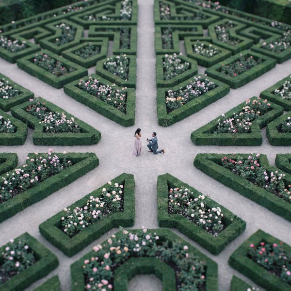 Couple at a garden maze during a proposal with flowers around - stock photo