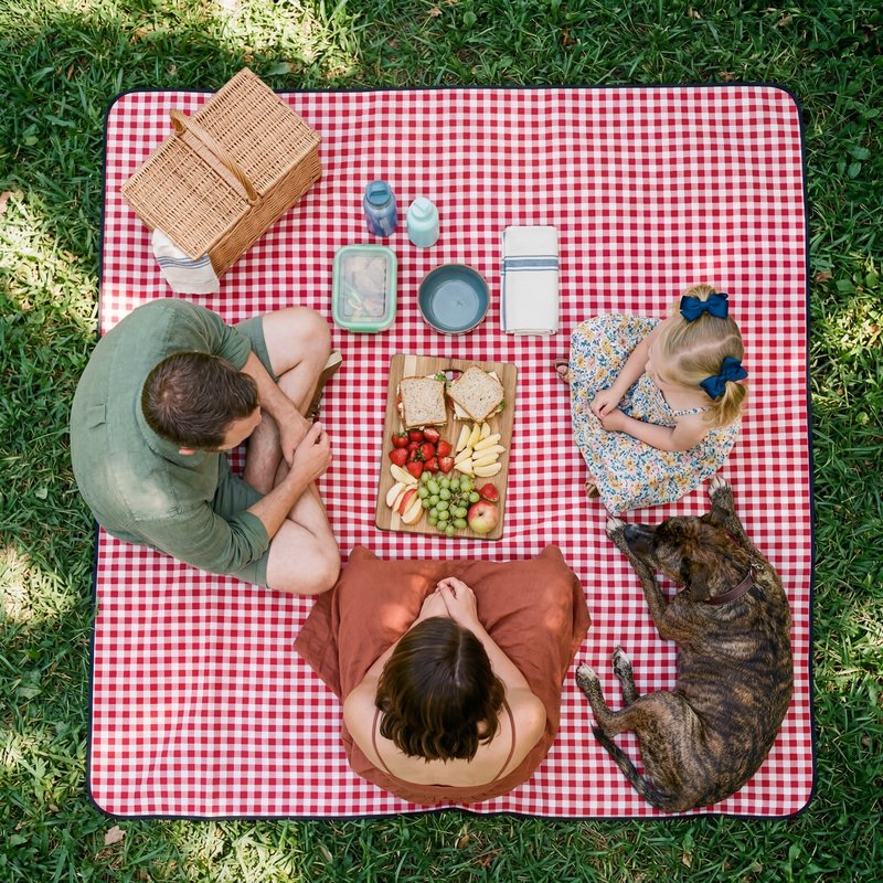 Family enjoys picnic on blanket in the park during afternoon Premium Stock Image - stock photo