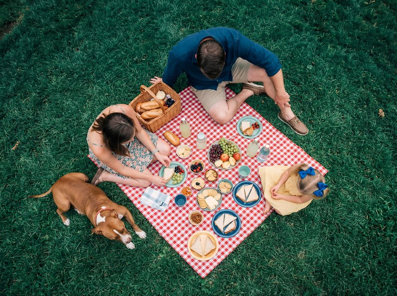 Couple enjoys picnic with dogs in green park area Premium Stock Image - stock photo