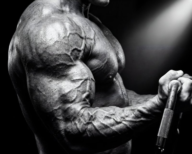 Muscle training session in a dimly lit gym setting Premium Stock Image - stock photo