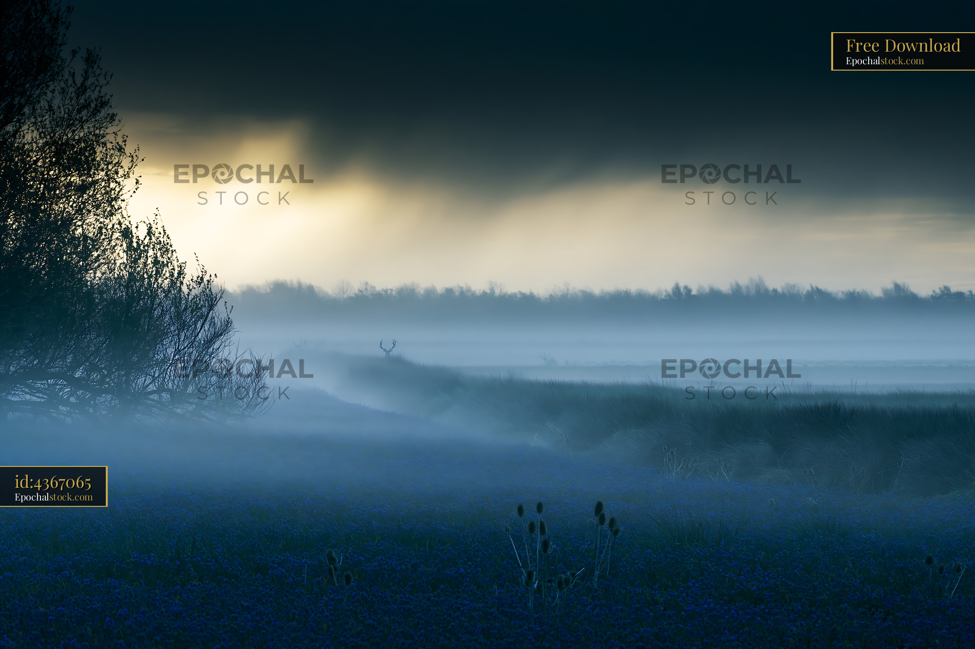 Watermarked full-resolution preview of Misty landscape with deer silhouette at dawn in a field