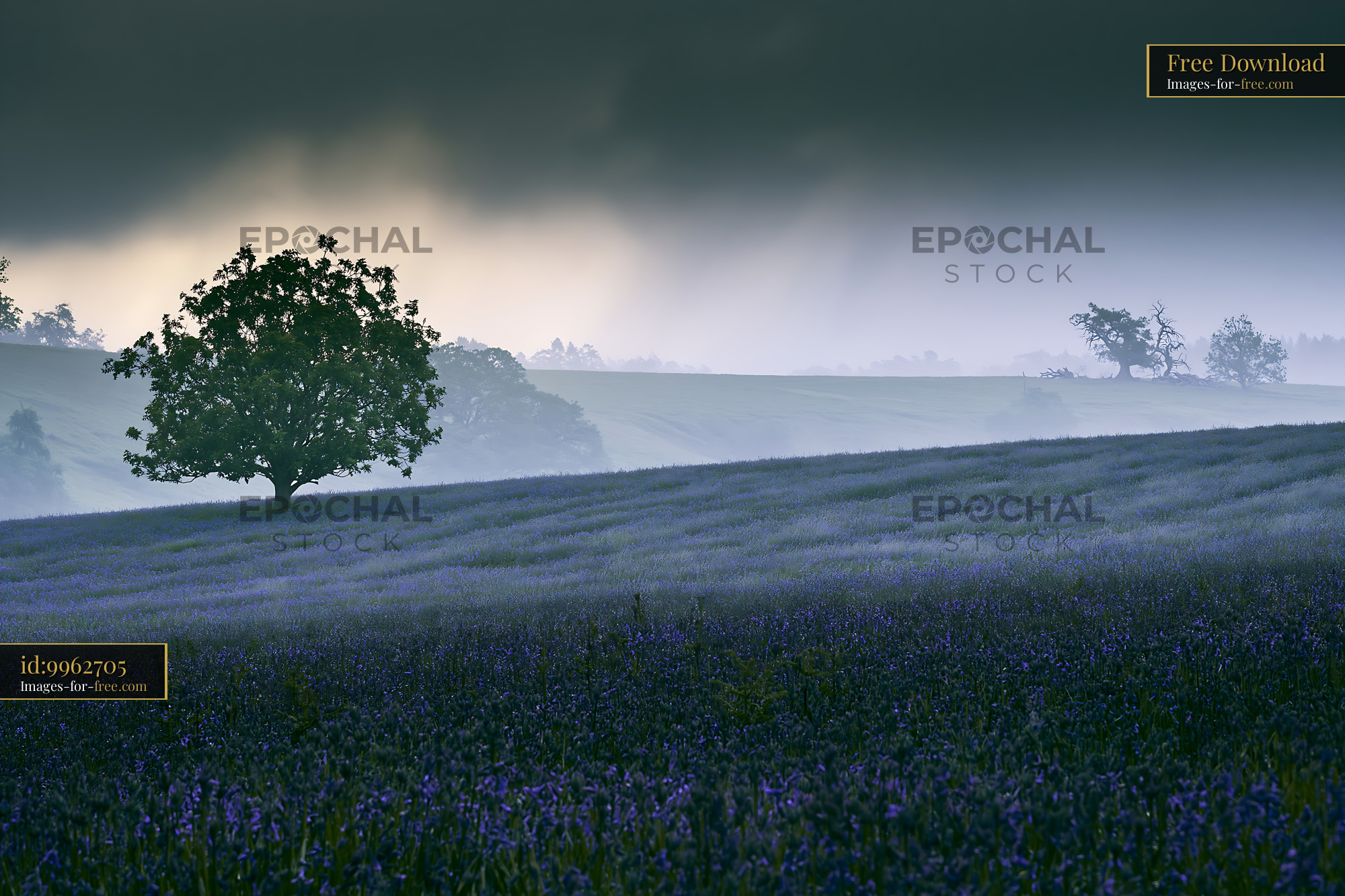 Watermarked full-resolution preview of Misty landscape with trees and blue flowers at dawn