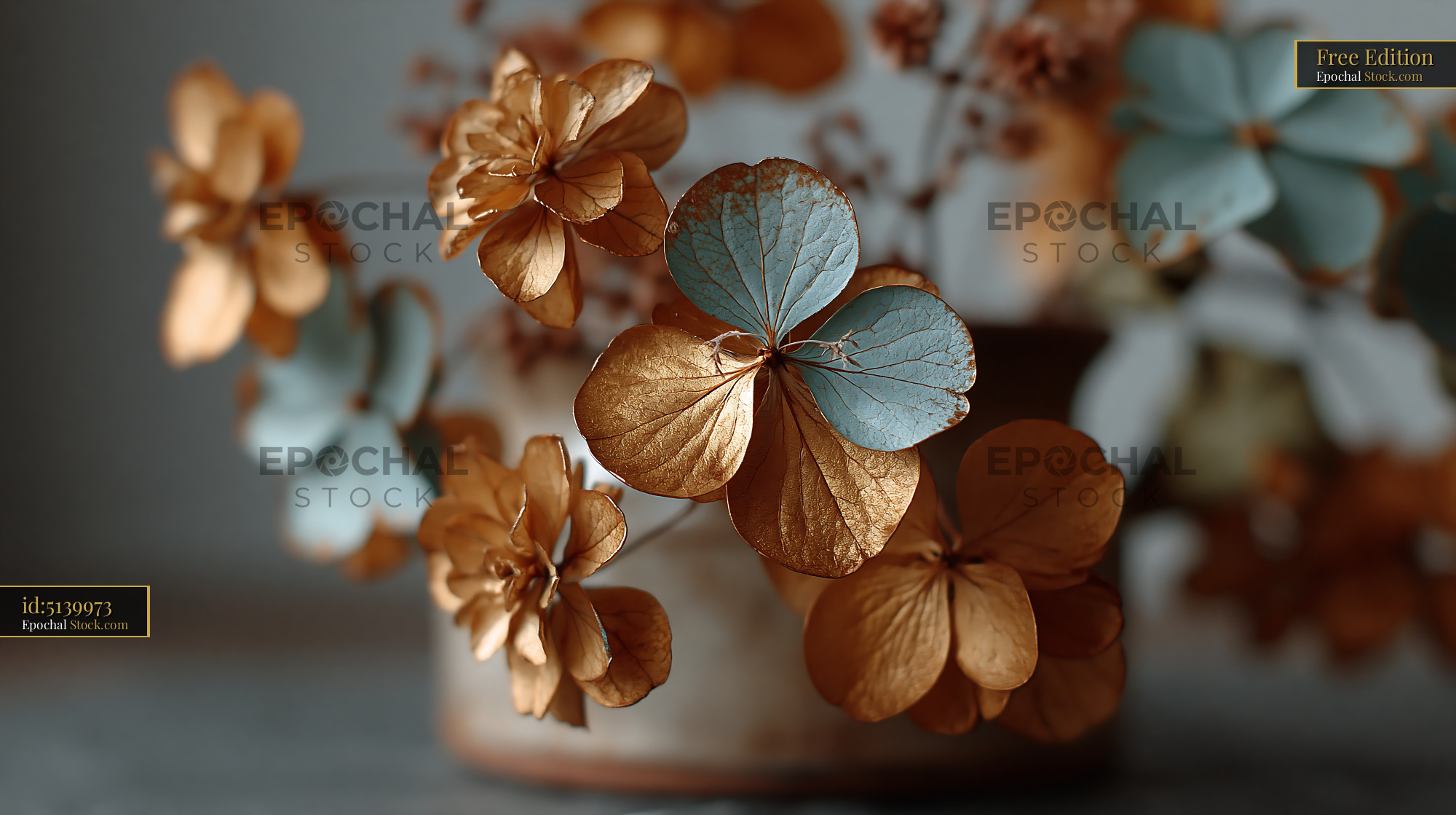 Dried golden hydrangea flowers inspired by footprints in deep snow - stock photo