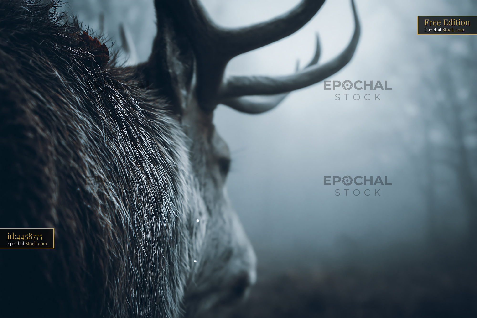 Majestic stag with large antlers standing in a misty forest - stock photo