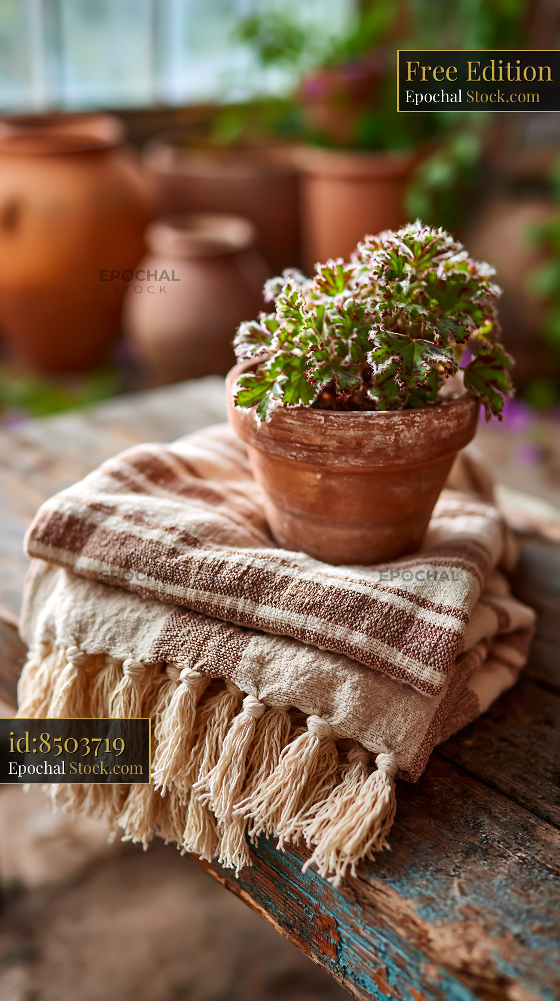 Potted plant on a striped throw on bench in a rustic garden - stock photo