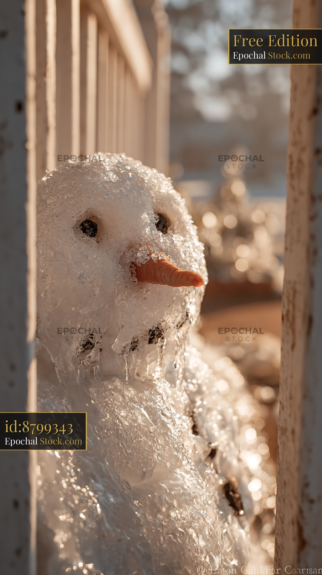Ice covered snowman melting in the warm golden spring sun - stock photo