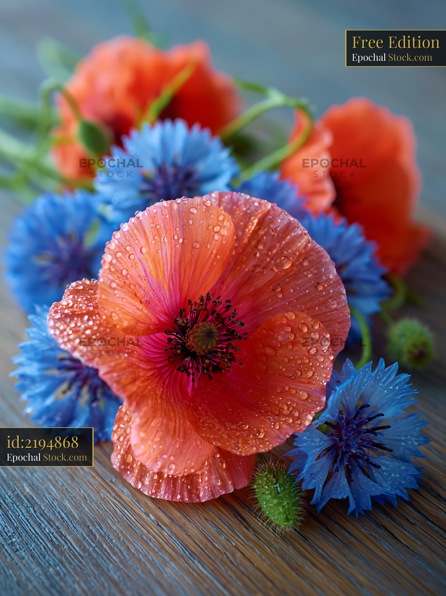 Red poppy and blue cornflowers with water droplets on wooden table - stock photo