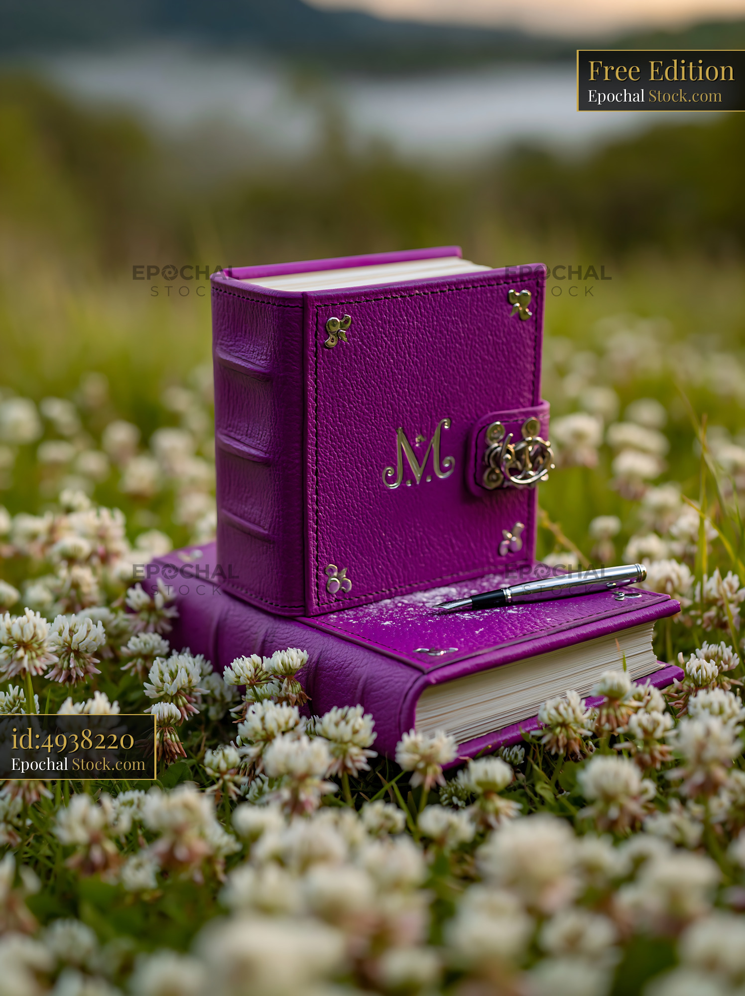 Purple leather journal with silver monogram on a meadow floor - stock photo