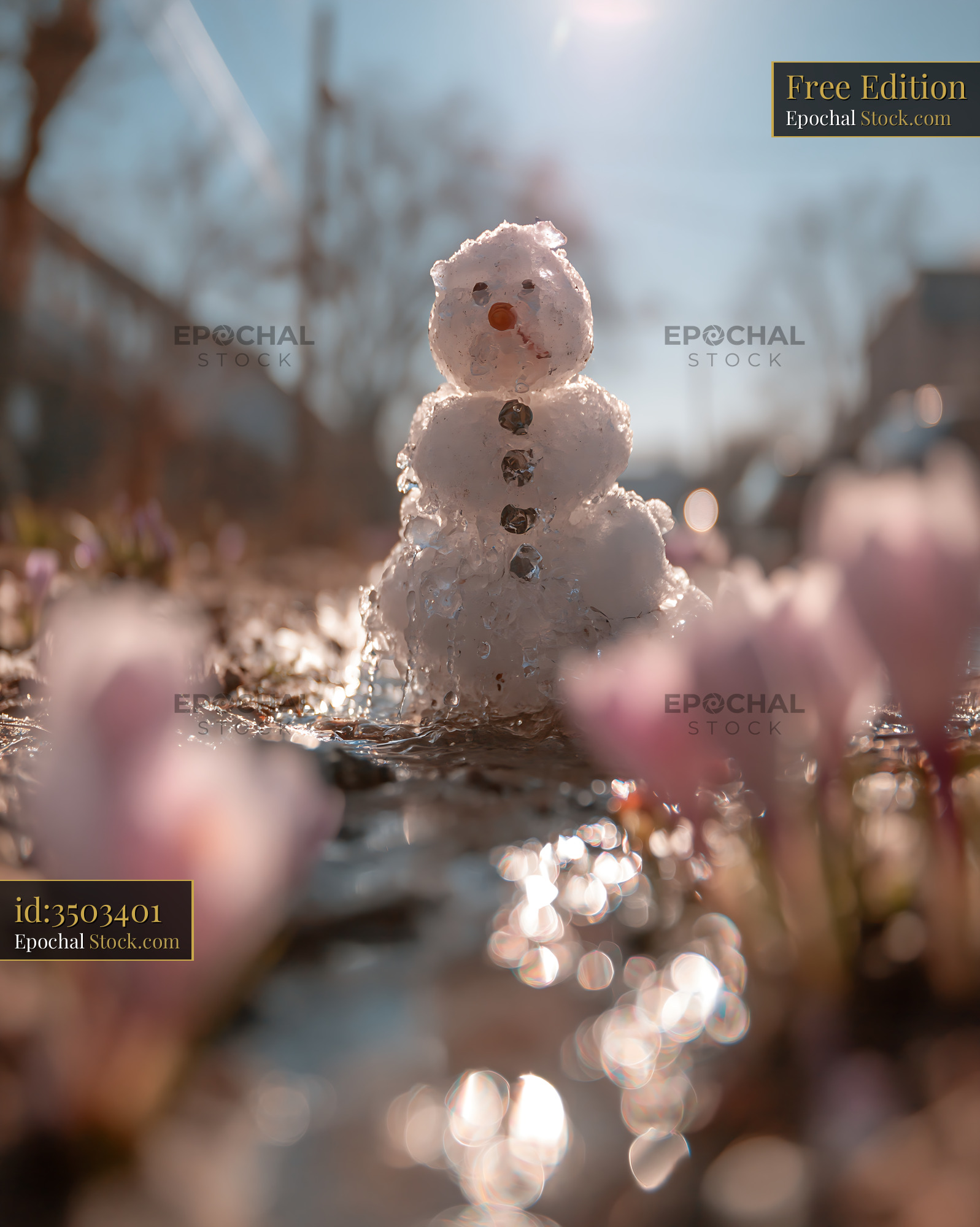 Small melting snowman surrounded by spring flowers in the sun - stock photo