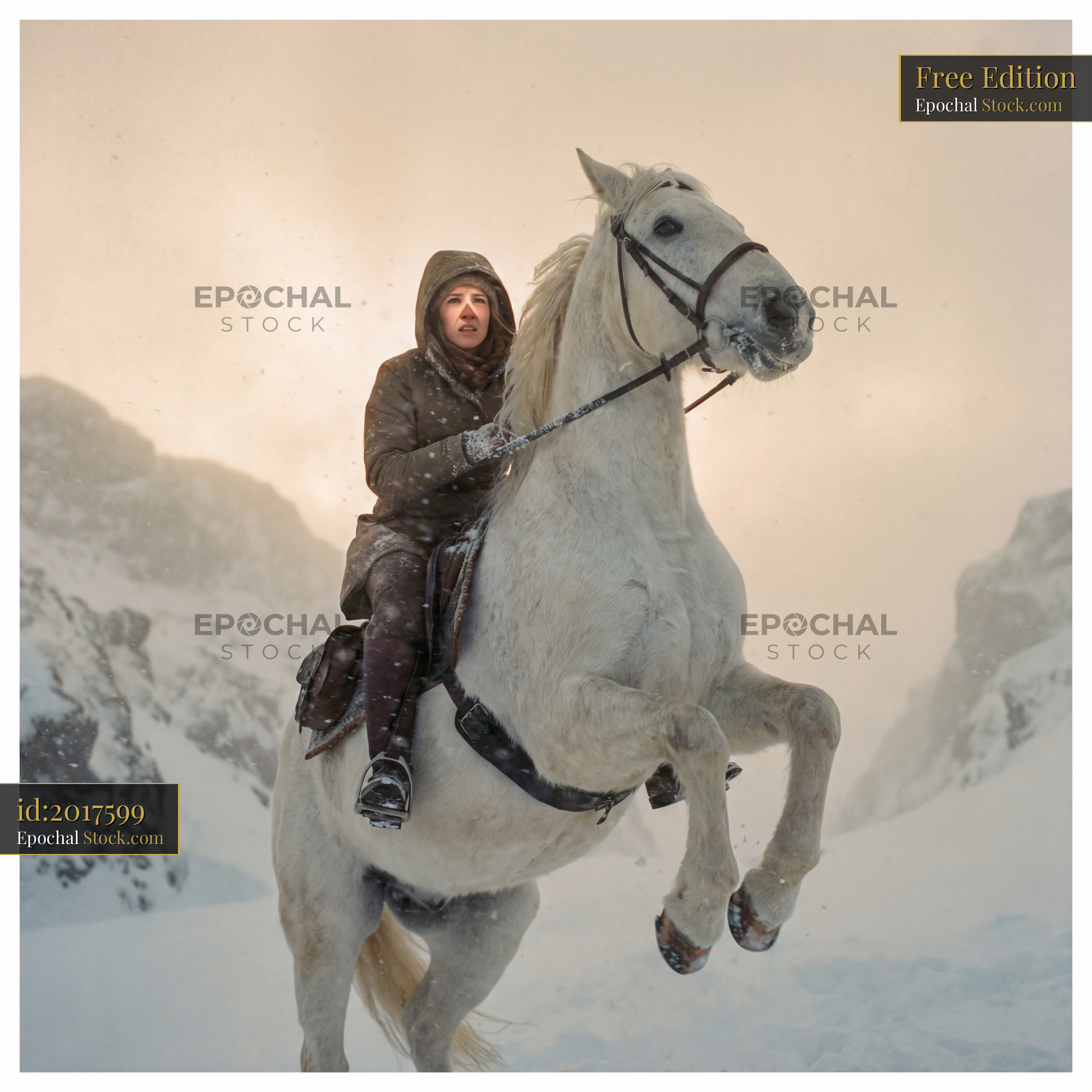 Rider on a white horse in snow-covered mountains during winter