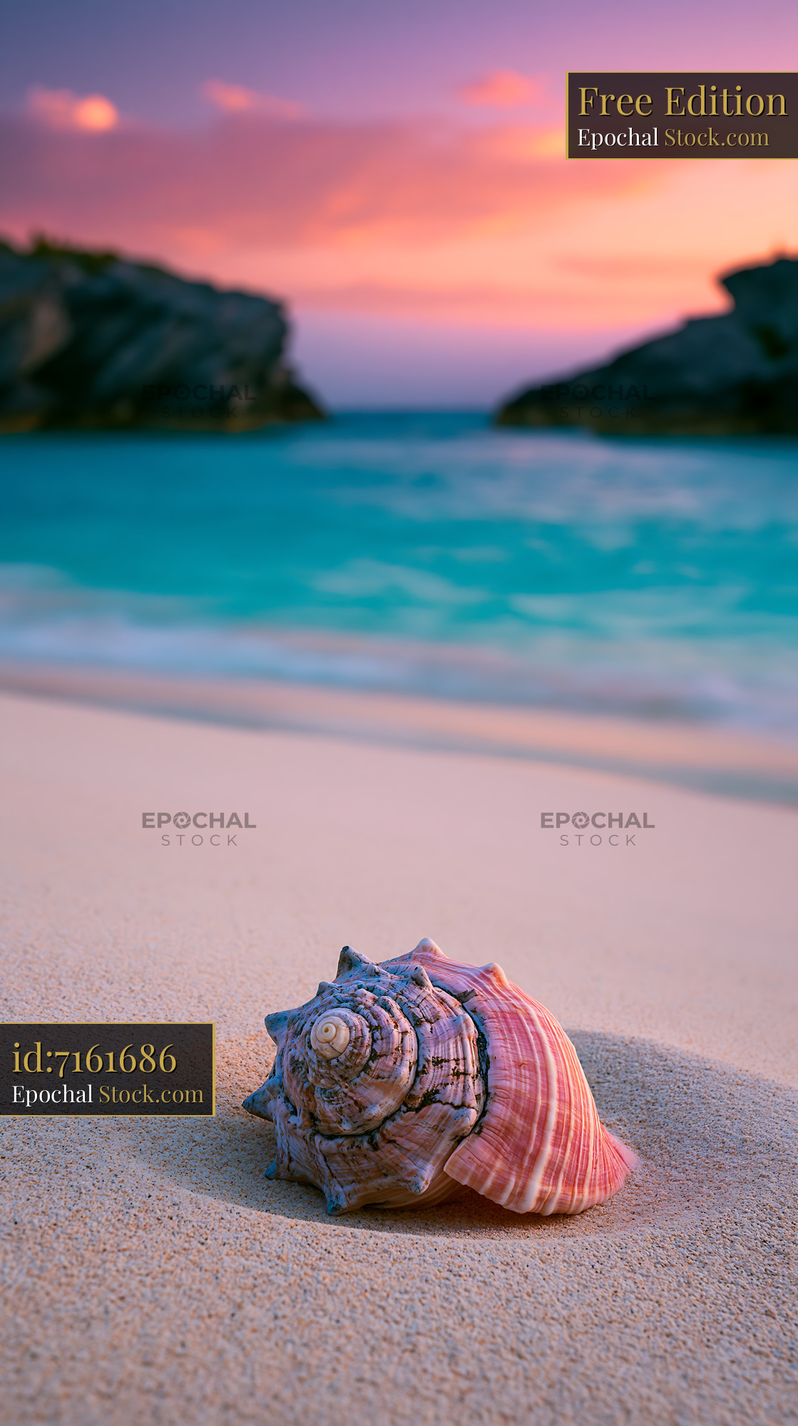 Pink seashell on a sandy beach at sunset with turquoise water - stock photo