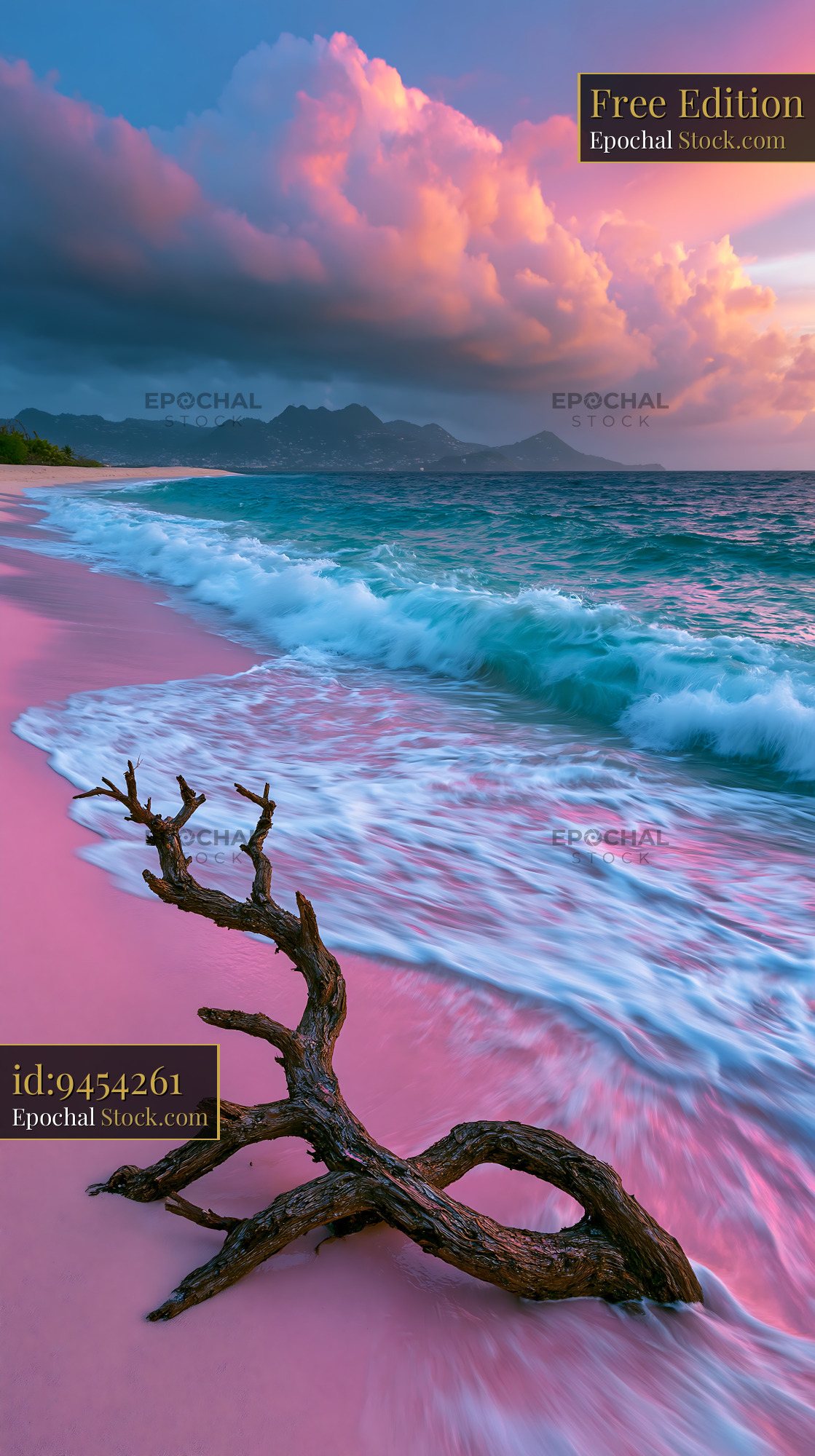 Driftwood on a pink sand beach with turquoise waves at sunset - stock photo