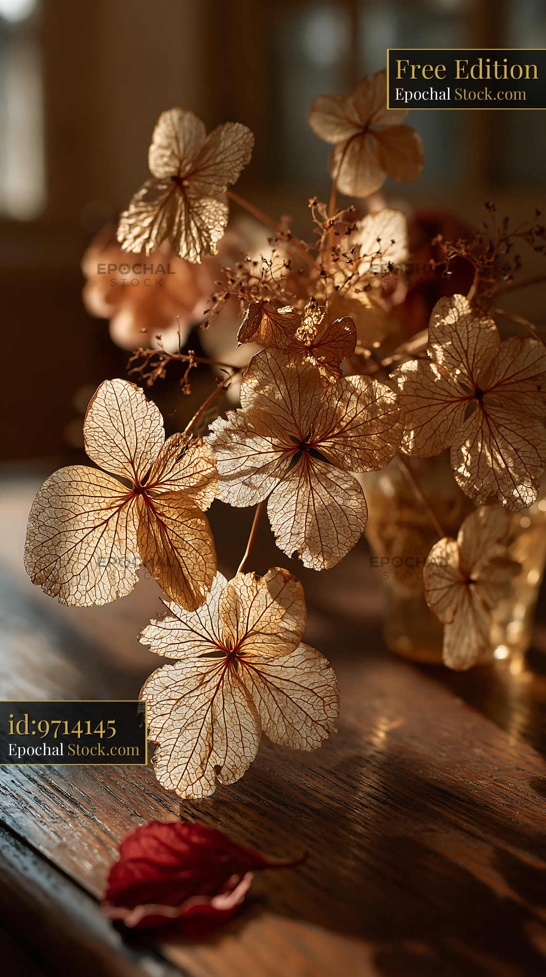 Dried hydrangea petals like footprints in deep snow in warm light - stock photo