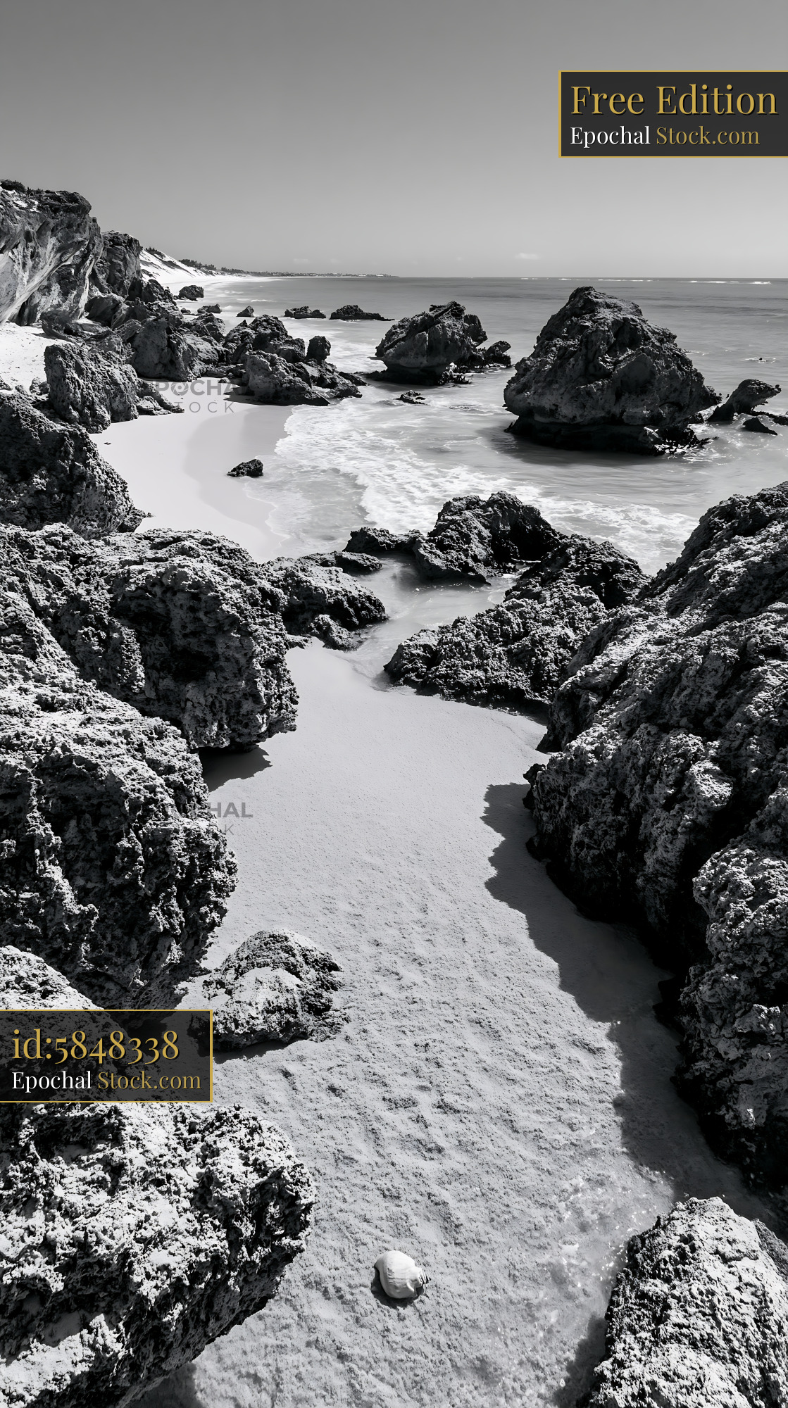 Dramatic black and white rocky shoreline with a single seashell - stock photo