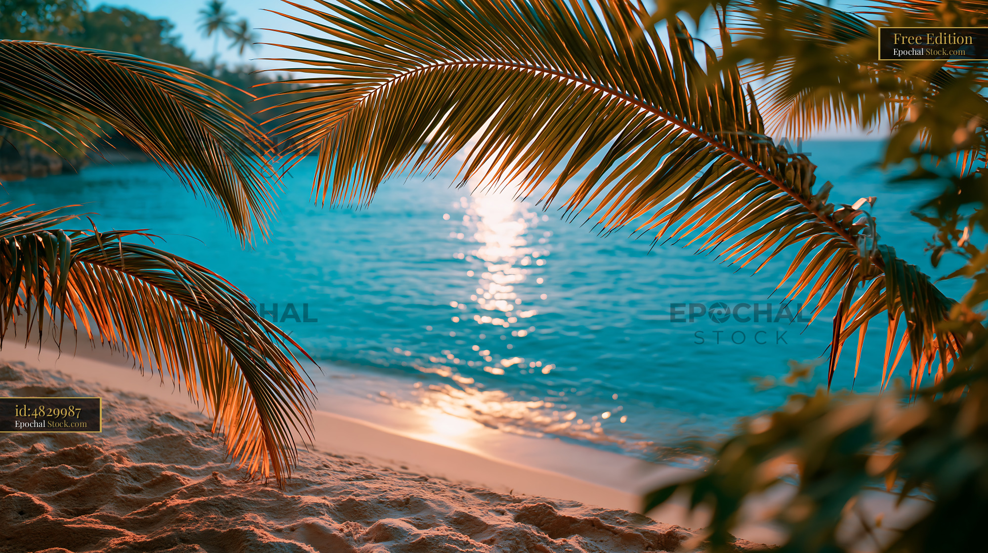 Palm fronds framing a tropical beach with turquoise water at sunset - stock photo