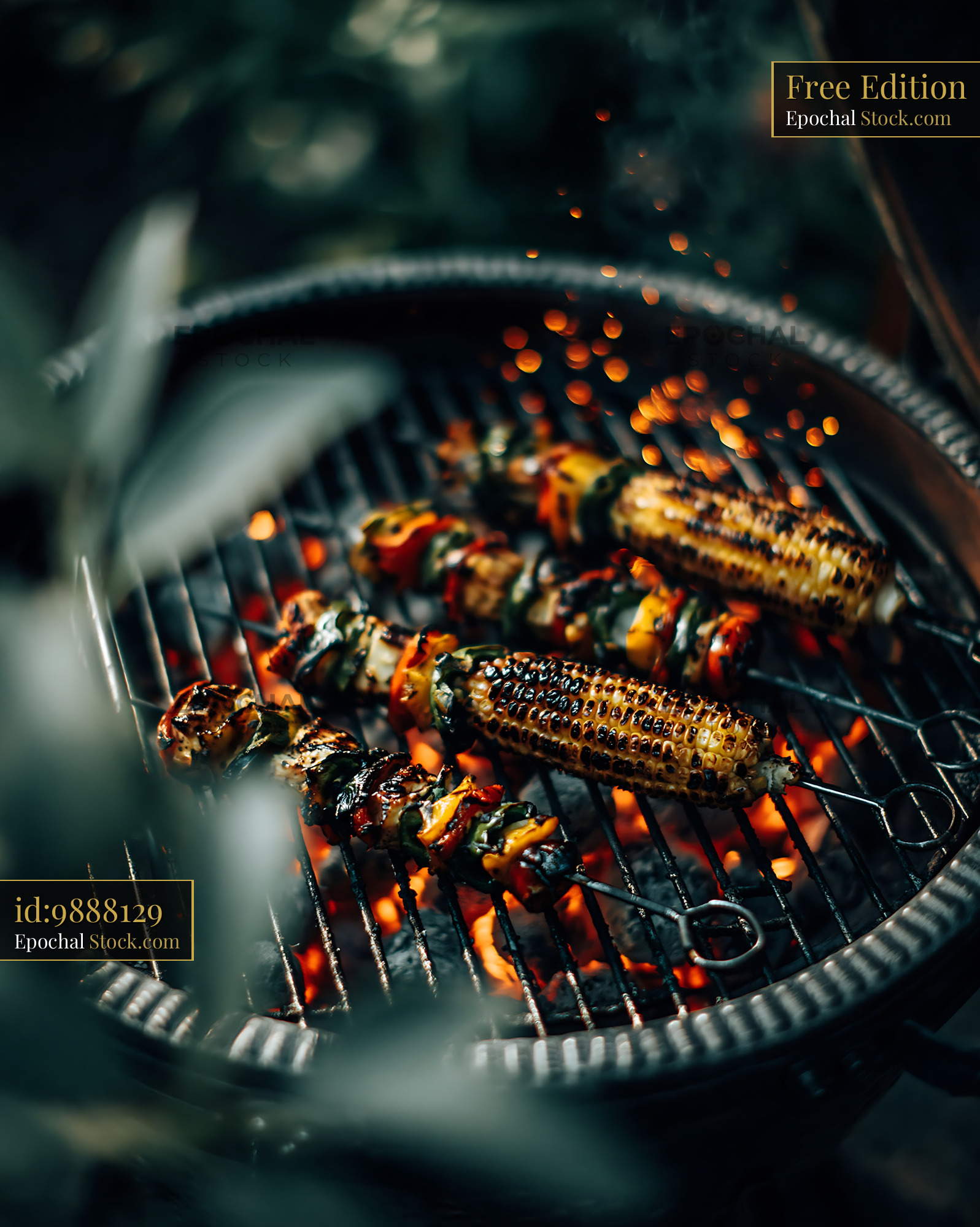 Vegetable skewers and corn on the cob grilling on a charcoal barbecue