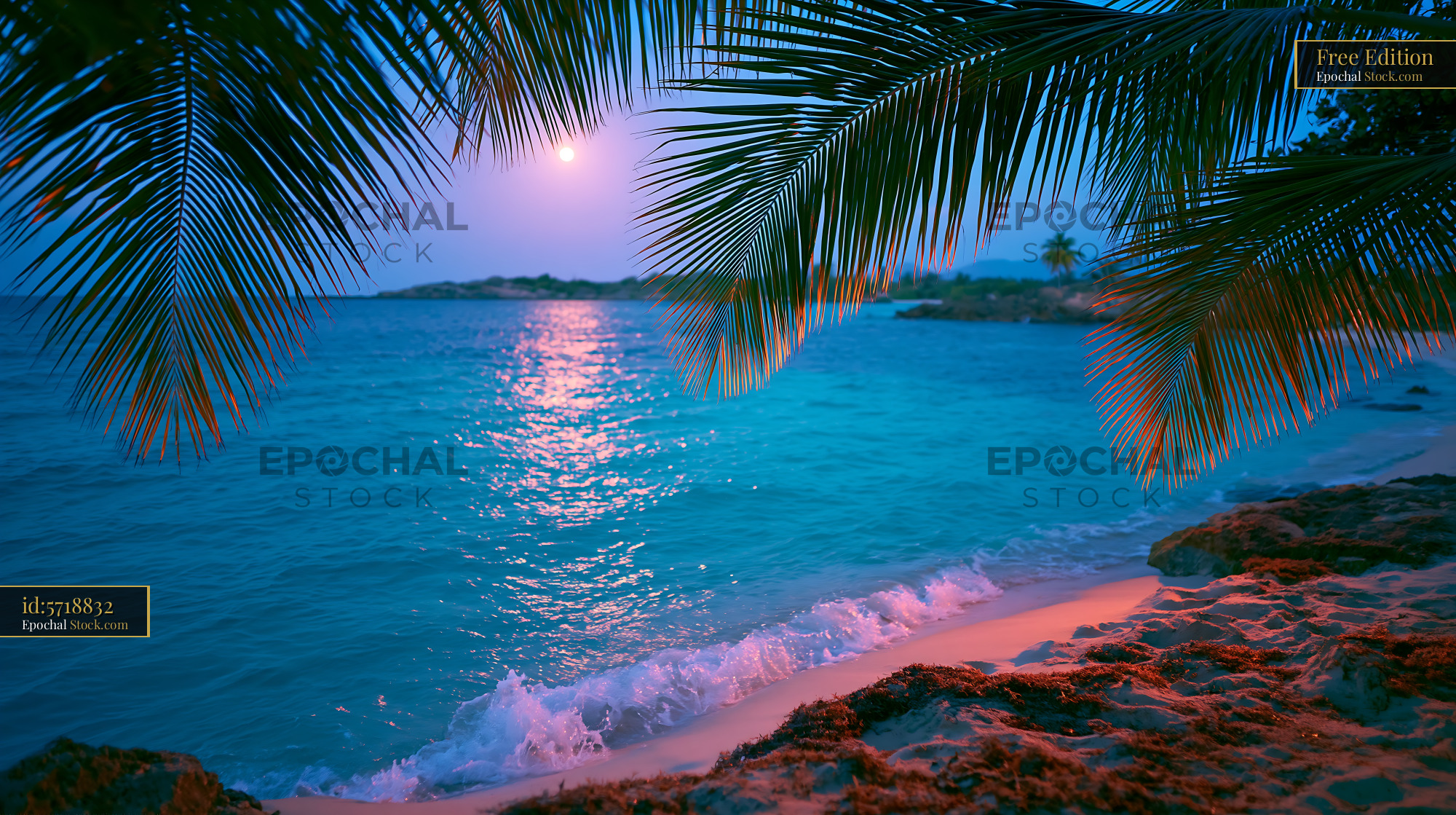 Tropical beach at night with palm leaves and moonlight reflection - stock photo