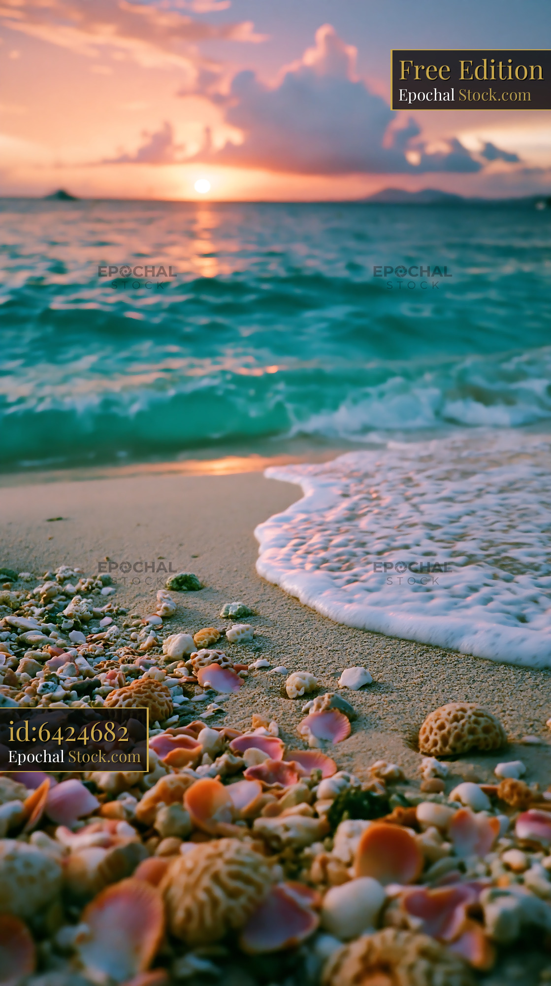Seashells and coral on a sandy beach during a tropical sunset